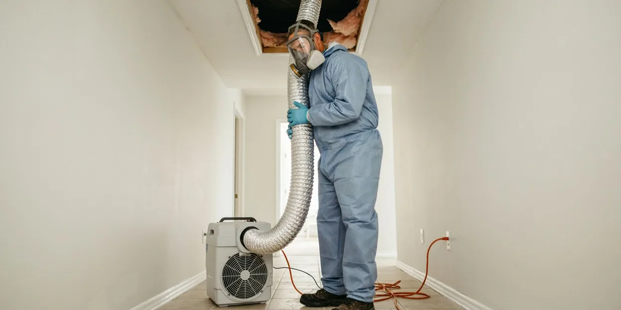 Mold removal in Largo, FL